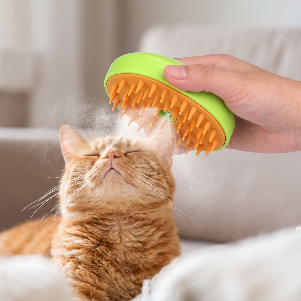 Cepillo De Vapor Para Mascota